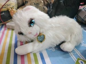 Cute Plush Kitten