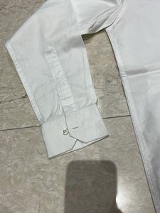 Limited Edition Shirt Copy