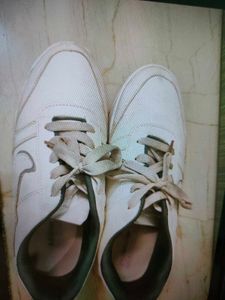 Shose