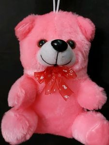 Teddy 🧸