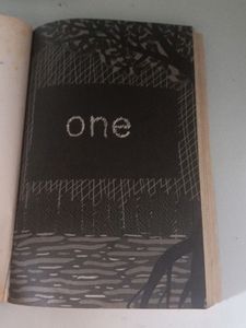 Novel Of Mitali Perkins( Tiger Boy)