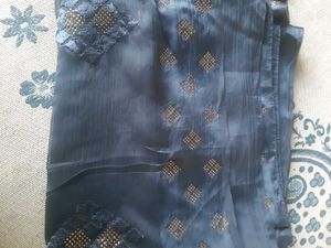 Elegant Embellished Saree