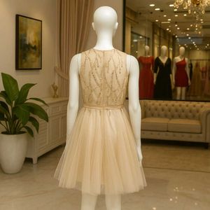 Blush Tulle Mini Dress
