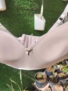 enamore non wired padded bra