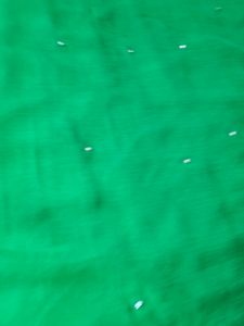 Beautiful Green Saari