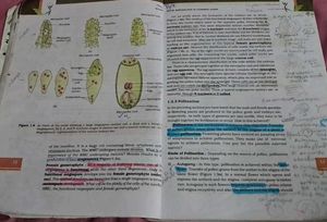 Class XII Biology Textbook