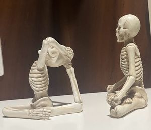 Skeletal Show Peices.