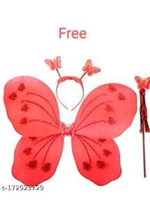 Frock With Butterfly Dress