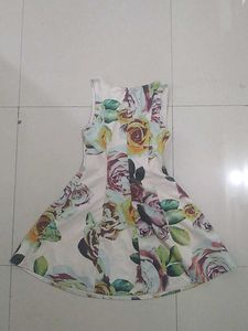 Floral Print Fit &amp; Flare Dress