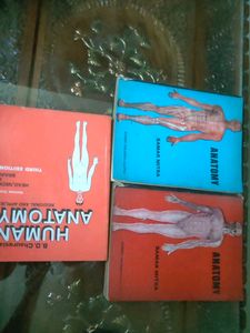 🛑🛑 Complete Anatomy