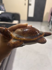 Turtle - Small Showpiece