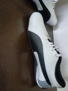 Puma Speecat