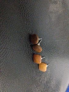 Studs&earrings