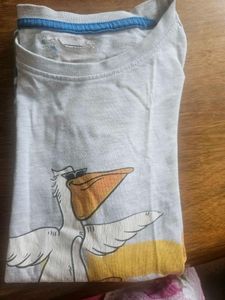 T Shirt For Kids