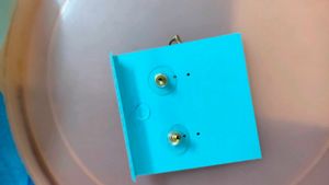 Heart Drop Earrings