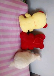 Cute Teddy Bear Trio