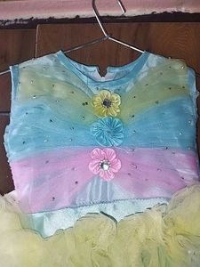 Rainbow Tutu Dress