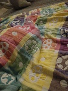 Rainbow Mushroom Blanket