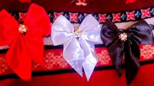 Elegant Hair Bow Set of 3
