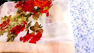 Elegant Saree Collection 5