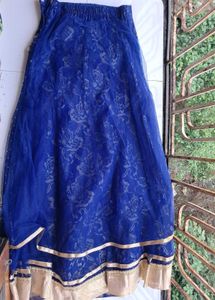Embroidered Lehenga Choli