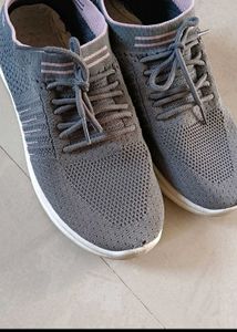 Sports Shoes🎉