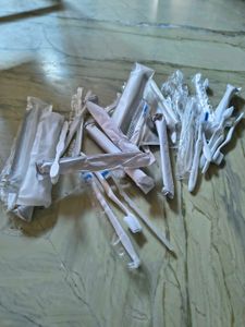 Bulk Toothbrushes - Hotel Amenities 33brush New