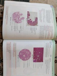 Histology Textbook - J.P.Gunasegaran