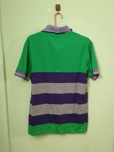 Green And Purple Multicolour Tshirt With Collar