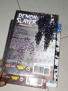 Demon Slayer Manga Volumes 1-3