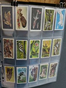 Vintage Collectible Cards