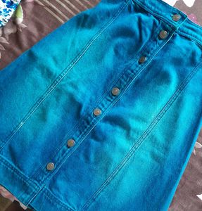 Sassafras Regular Denim Skirt
