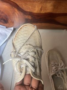 Vans Shoes