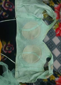 Lehanaga Choli With Sequence Work