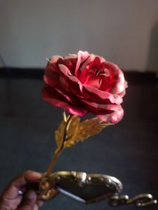 Beautiful Rose Flower Photo Frame