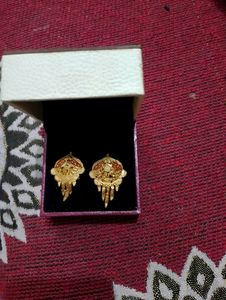 2 Gram Micro Gold Earrings