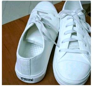 Zudio White Sneaker