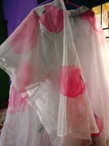 Organza Lehnga Blouse And Dupatta