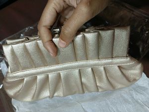 Elegant Evening Clutch