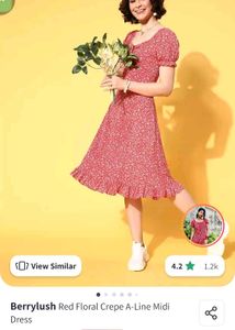 Floral Print Dress