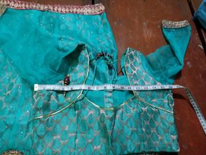 Lehnga Choli Multicolour