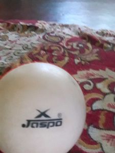 Cricket Ball