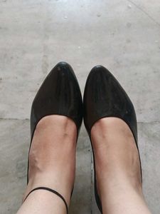 Formal Black Bellies