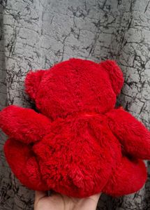 Red Teddy
