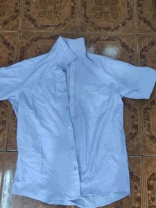 Light Blue Shirt