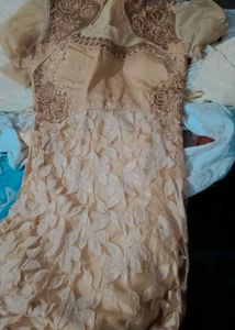 Elegant Embroidered Ethnic Gown