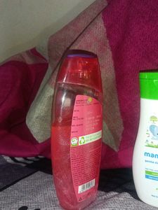 Shampoo and Shower Gel