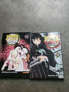 demon slayer volume 11&amp;12