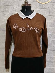 Dino-mite Brown Collared Long Sleeve Top