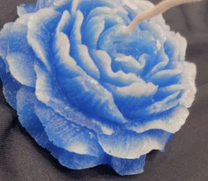 Poney Blue Rose Candle